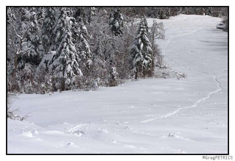 Our skin track up Nosedive trail