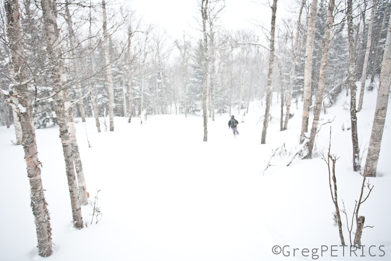 art fog ski photo