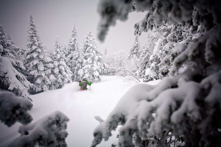 turns through the trees.